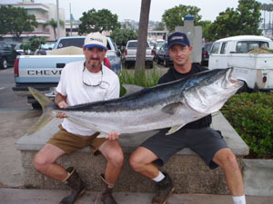 World Record Yellowtail!