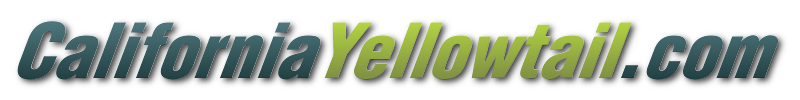 California Yellowtail